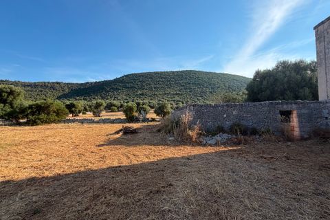 Landejendom i Cisternino, Brindisi, Cisternino - € 1.111.111 | Ref: 381 - foto 13